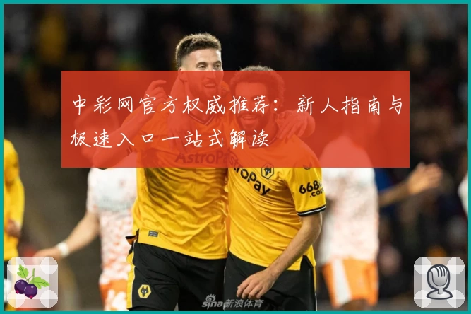 中彩网官方权威推荐：新人指南与极速入口一站式解读
