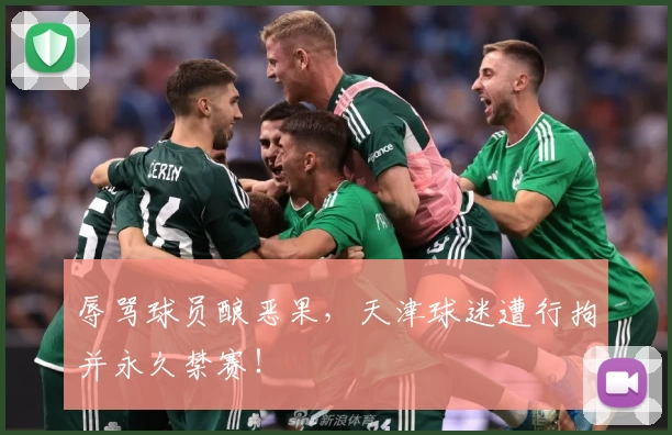 辱骂球员酿恶果，天津球迷遭行拘并永久禁赛！
