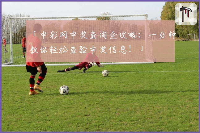 「中彩网中奖查询全攻略:一分钟教你轻松查验中奖信息!」