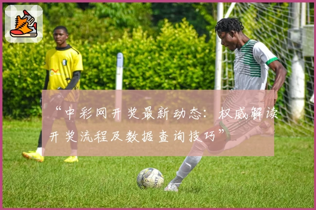 “中彩网开奖最新动态：权威解读开奖流程及数据查询技巧”