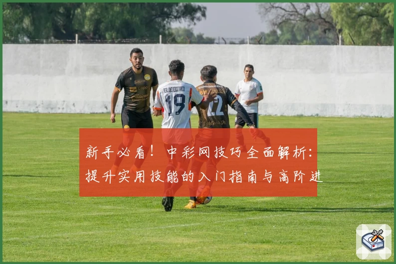 新手必看！中彩网技巧全面解析：提升实用技能的入门指南与高阶进阶推荐
