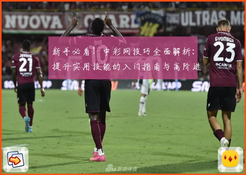 新手必看！中彩网技巧全面解析：提升实用技能的入门指南与高阶进阶推荐
