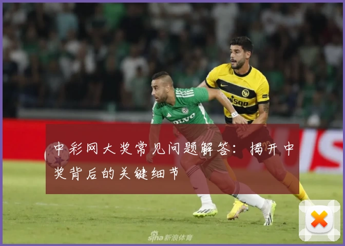 中彩网大奖常见问题解答：揭开中奖背后的关键细节