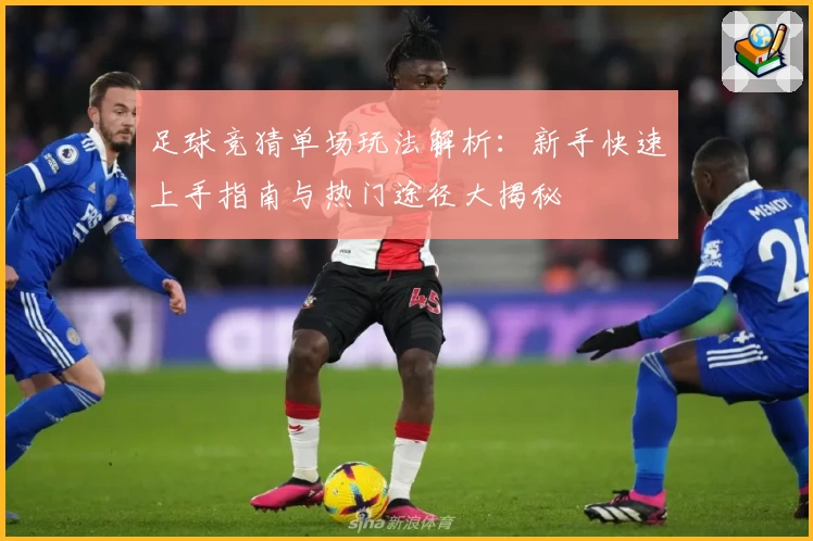 足球竞猜单场玩法解析：新手快速上手指南与热门途径大揭秘