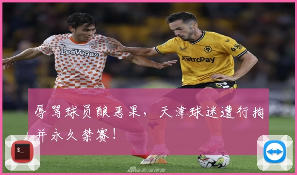 辱骂球员酿恶果,天津球迷遭行拘并永久禁赛!